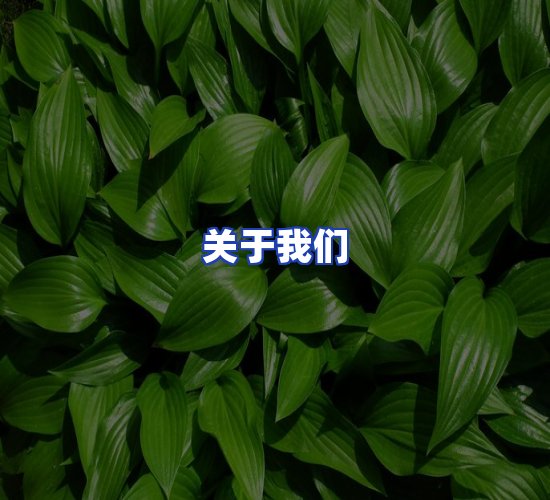 公司总部